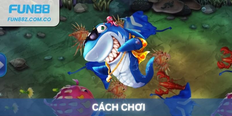 Cách chơi game Siêu sao bắn cá hiệu quả